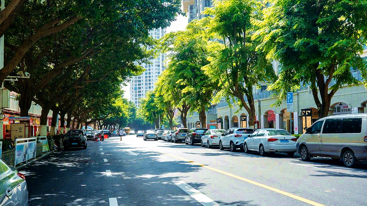 1694587592674889.jpg 樣板區(qū)域道路提升受好評 (3).jpg